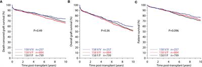 Functional Fc Gamma Receptor Gene Polymorphisms and Long-Term Kidney Allograft Survival